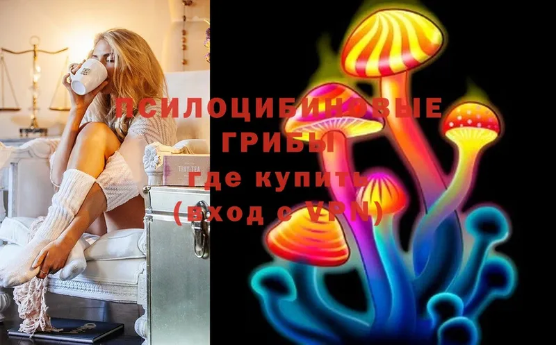 blacksprut tor  магазин    Лениногорск  Галлюциногенные грибы MAGIC MUSHROOMS 